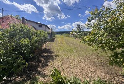 Teren de 2900 mp, în Lipoveni - 5