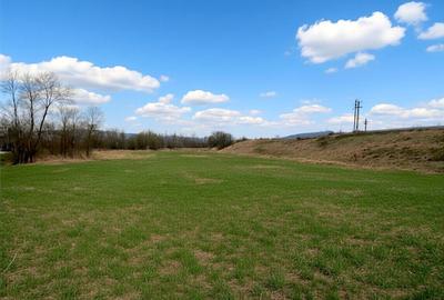 Teren Construcții extravilan de 12400 mp, în Pătrăuți - 1