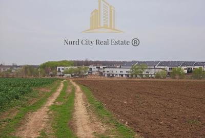 Teren Tunari - Lot Tunari- 12.000 mp- 32 EUR/MP - 3