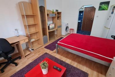 Garsoniera Spatioasa zona Blascovici - 8