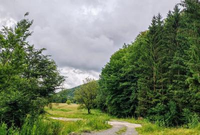 2,64 Ha TEREN SUPERB pe malul raului Crisul Repede padure parau NEGRENI - CLUJ - 28