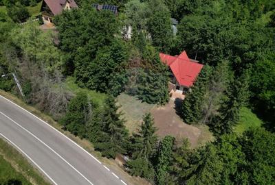 Casa cu teren generos – refugiul perfect în Paltinoasa, Suceava - 4