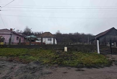 Casă cu Teren 3650 Mp în Sânmihaiu de Câmpie - 9