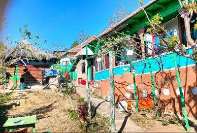 Casă în Suceveni - 5