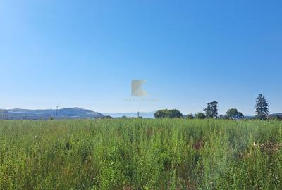 Posibilitate RATE | Teren Bod | curti constructii | utilitati | PUZ, - 17