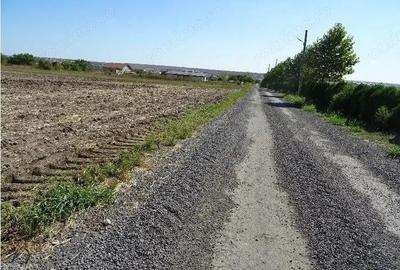 Teren de 5000 mp, în Valu lui Traian - 6