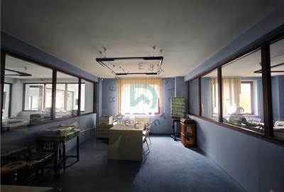 Spațiu comercial, de 850 mp, în Griviței - 12
