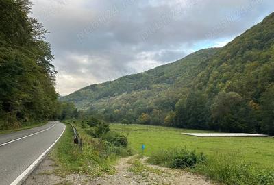 Teren de 1000 mp, în Șugag - 4