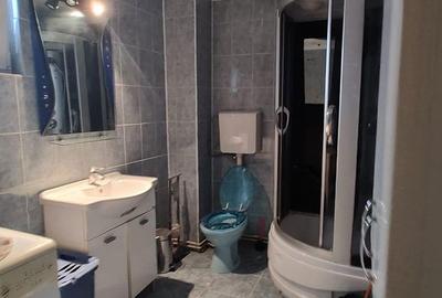 Casă cu 2 camere cu Teren 4368 Mp în Certeju de Sus - 12