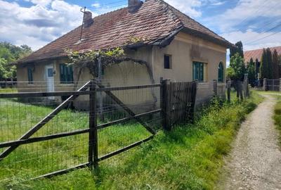 Casă individuală cu 4 camere cu Teren 940 Mp în Livezeni - 1
