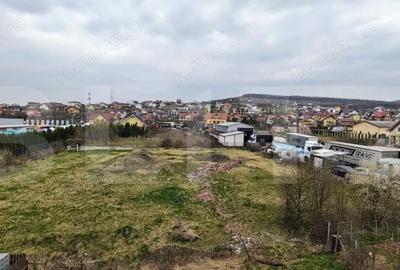 Casă cu Teren 3066 Mp în Sud - 2