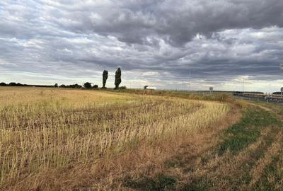 Teren intravilan Branesti - 5