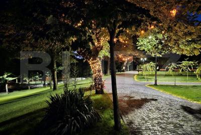 Apartament de 4 camere, 130 mp, centrala termica, zona catedrala Sf. Dumitru - 19