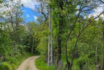 Vand Teren Corbeni, Arges zona Cetatea Poenari, Transfagarasan - 7