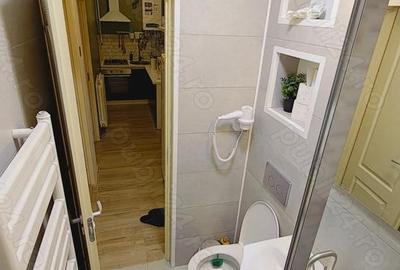 Apartament cu 2 camere decomandat, mobilat în Viitorului - 1