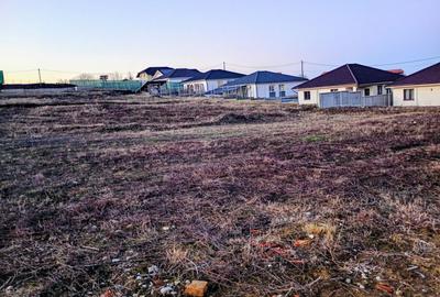 Teren Construcții intravilan de 1063 mp, în Paleu - 5