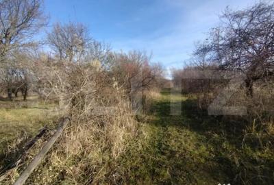 Teren de 15000 mp, în Central - 1