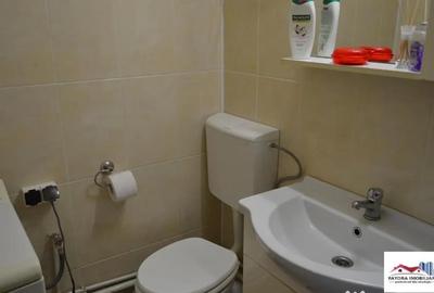 Garsonieră decomandată în Dâmbu Pietros - 3