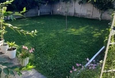 Albesti. Dolj. Casa de vanzare - 4