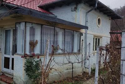 Casă cu 5 camere cu Teren 1300 Mp în Căiuți - 3