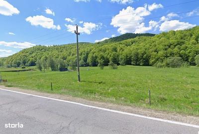 Teren de 5000 mp, în Măneciu - 3