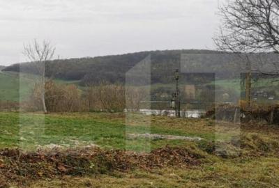 Investitie ! Casa individuala 1 camera, 51 mp, 3000 mp teren - 2