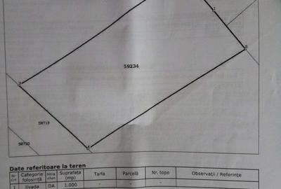 Teren de 1000 mp, în Săldăbagiu de Munte - 2