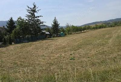 Teren de 4270 mp, în Agapia