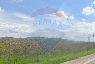 Teren Construcții extravilan de 5999 mp, în Lancrăm - 2