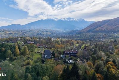 Spațiu comercial, în Predeluț - 2