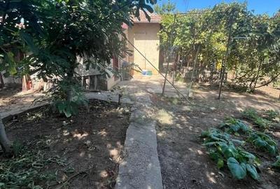 Casa km 5 cu teren mare - 3