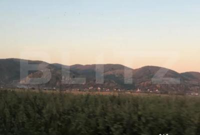 Casă cu 2 camere cu Teren 1500 Mp în Central - 4