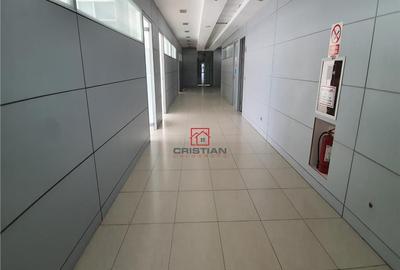 Cladire birouri Militari - Ciorogarla - A1 KM13, Bucuresti - 10