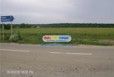 Teren intravilan de 6000 mp, în Snagov - 2
