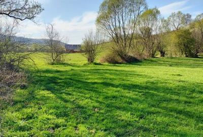 Spațiu comercial, în Șinca - 2