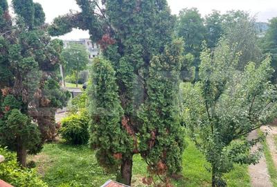 Casa cu 3 camere pe Str. Negoiului, teren 2.560 mp, vedere panoramica - 5