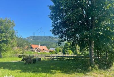 Spațiu comercial, în Moieciu - 4