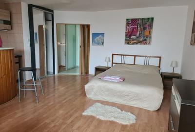 Garsonieră semidecomandată în Vitan - 15