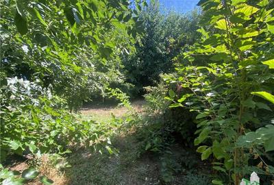 Teren 824 mp de in zona Andronache - 4