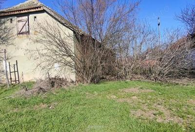 Teren de 1000 mp, în Pădureni - 9