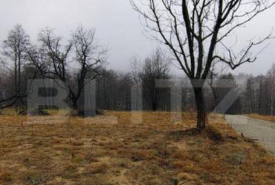 Teren intravilan zona deosebita in Zarnesti Teren intravilan zona deosebita in Zarnesti - 15