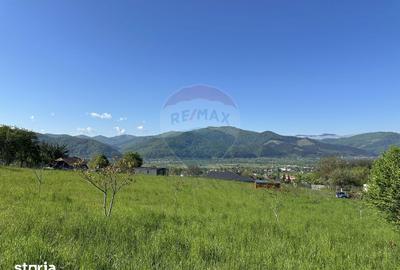 Teren de 4528 mp, în Alexandru cel Bun - 4