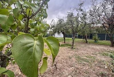 Casă individuală cu 10 camere cu Canalizare în Sisești - 1