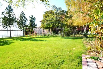 DOMENIU REZIDENȚIAL PRIVAT - Otopeni, Drumul Odaii - 6