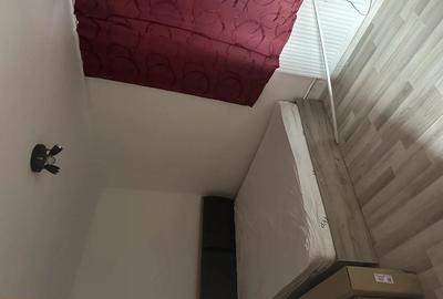 Casa spa?ioasa in Gura Vaii la doar 10 km de Dr. Tr. Severin - 8