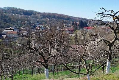 Casă cu Teren 2800 Mp în Boțești - 3