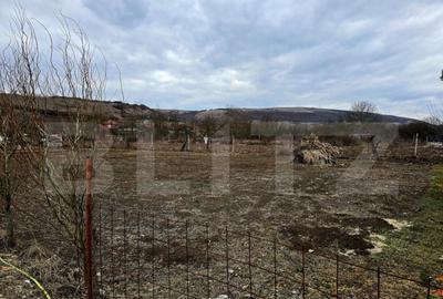 Oportunitate: Teren intravilan in Comuna Baciu - 4