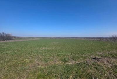 Teren de 3800 mp, în Central