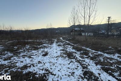 Teren de 10834 mp, în Dumbrăvești - 5