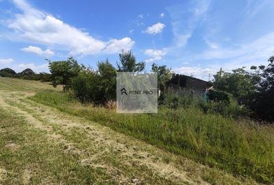 Teren agricol extravilan de 11000 mp, în Neajlovu - 14